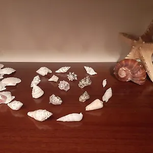 Appartamento Casa Lo Scoglio Della Ballerina Italia