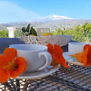 https://zagara-mascali.sicilyhotelsitaly.net